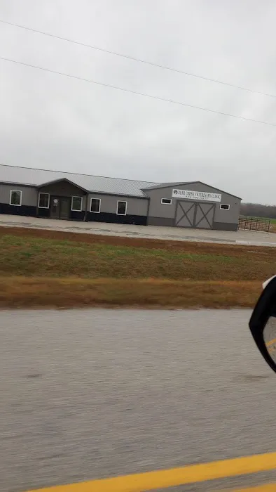 Bear Creek Veterinary Clinic LLC Picture 4