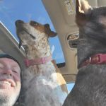 Quail Valley Veterinary Clinic