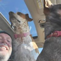 Quail Valley Veterinary Clinic ico