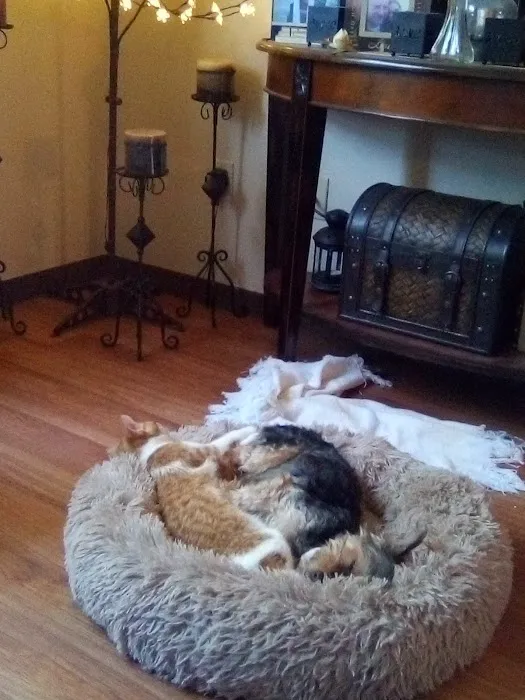 Quail Valley Veterinary Clinic Picture 7