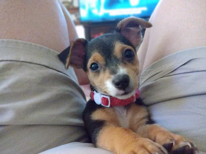 Quail Valley Veterinary Clinic Picture 3