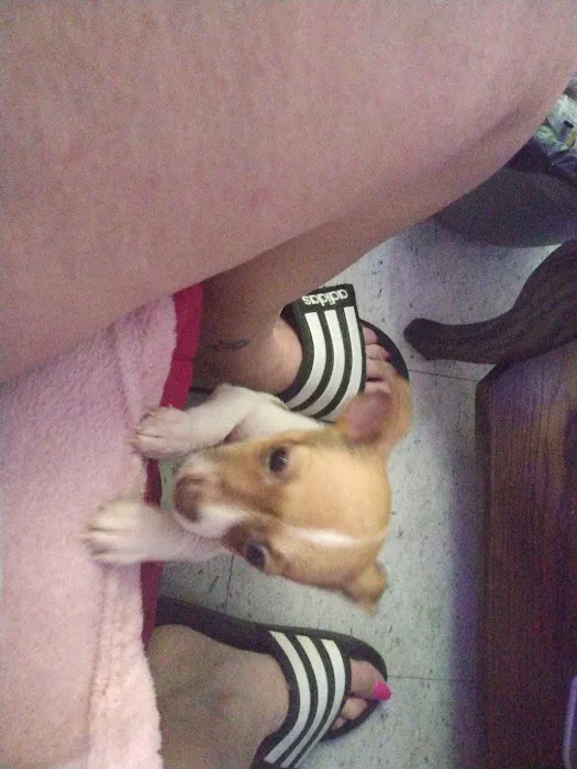 Quail Valley Veterinary Clinic Picture 6