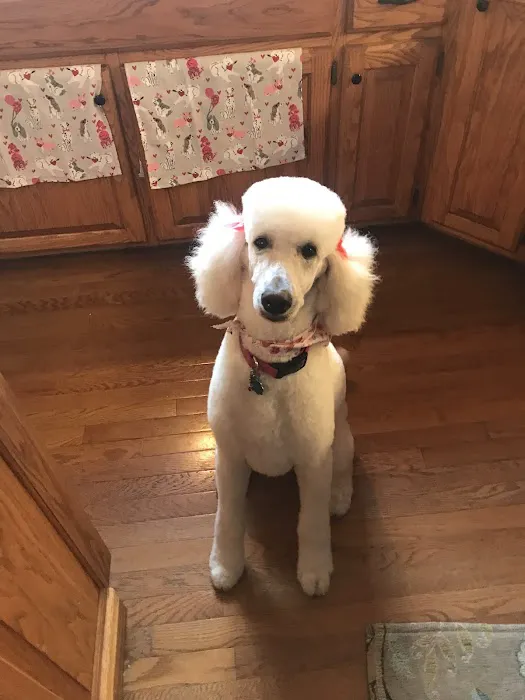 Quail Valley Veterinary Clinic Picture 4