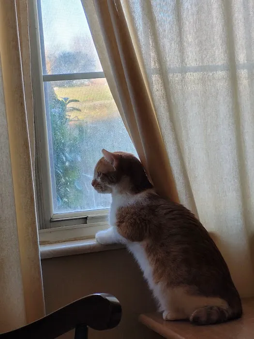 Quail Valley Veterinary Clinic Picture 8