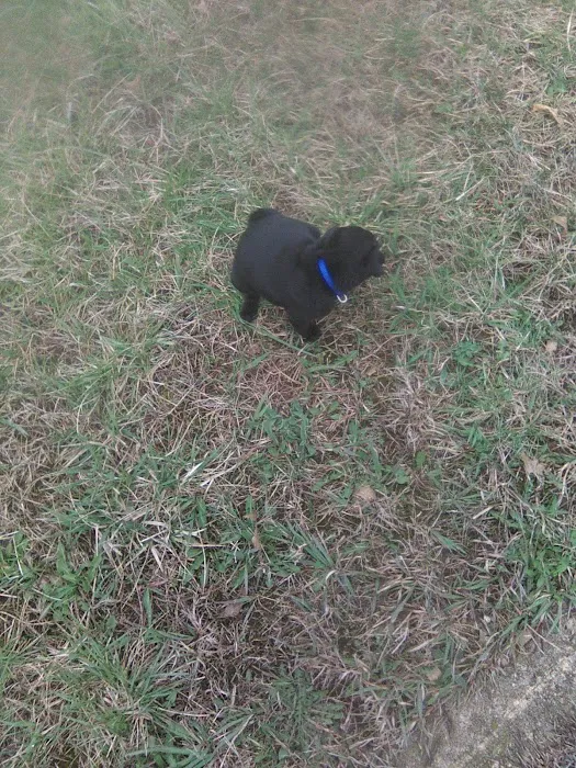 Quail Valley Veterinary Clinic Picture 10