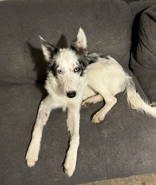 Bar S Veterinary Clinic Picture 2