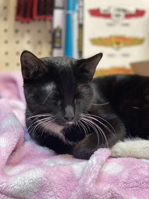 Bar S Veterinary Clinic Picture 1