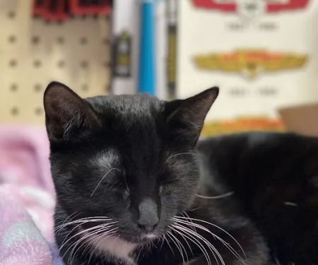 Bar S Veterinary Clinic