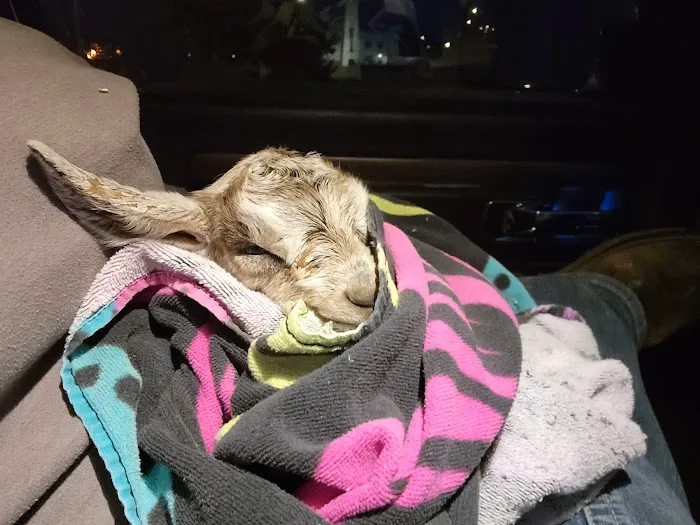 Bar S Veterinary Clinic Picture 3