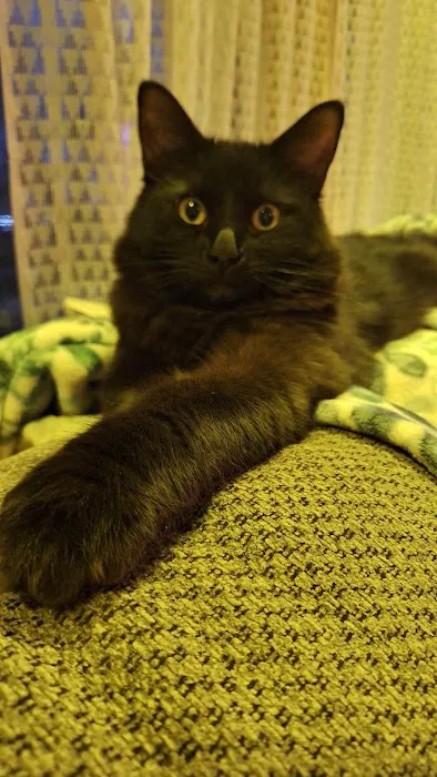 Bar S Veterinary Clinic Picture 6