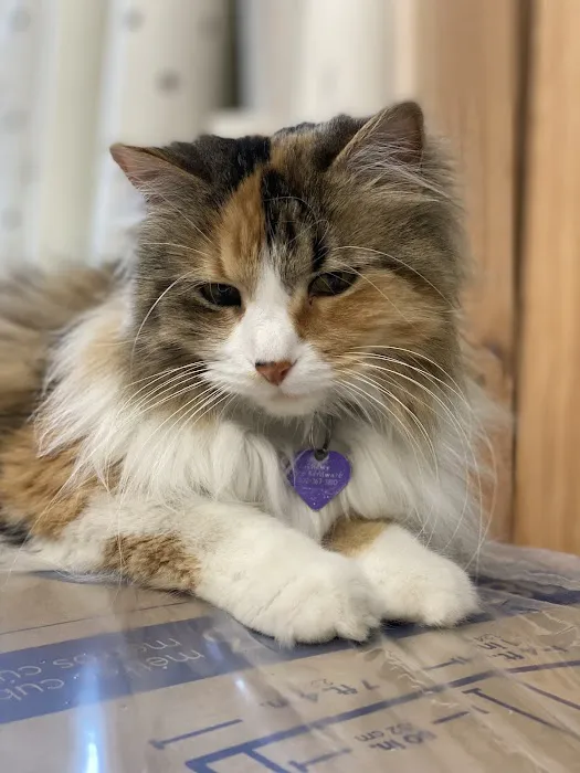 Bar S Veterinary Clinic Picture 5