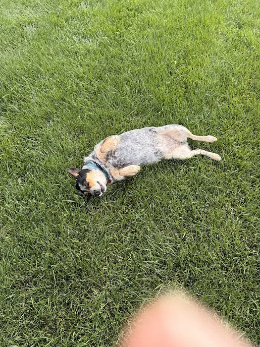 Bar S Veterinary Clinic Picture 7