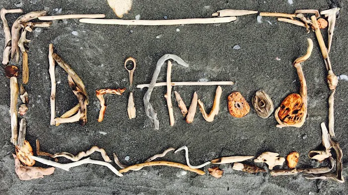 Drivethru Vet at DRIFTWOOD Picture 1