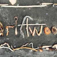 Drivethru Vet at DRIFTWOOD ico