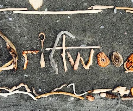 Drivethru Vet at DRIFTWOOD