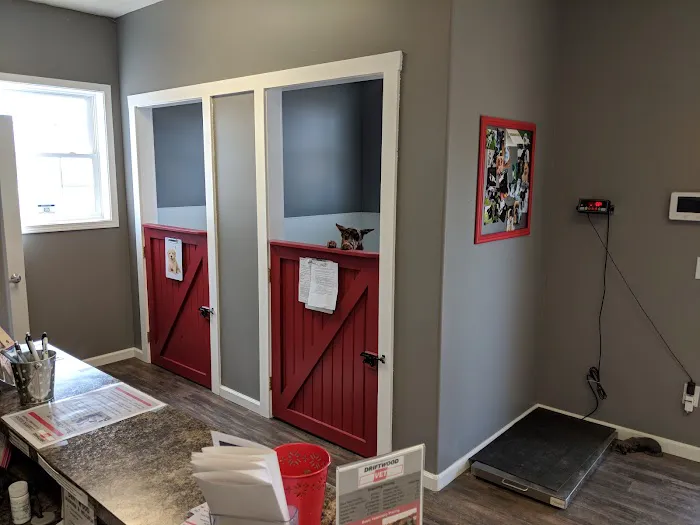 Drivethru Vet at DRIFTWOOD Picture 5
