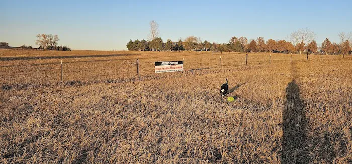 Drivethru Vet at DRIFTWOOD Picture 4