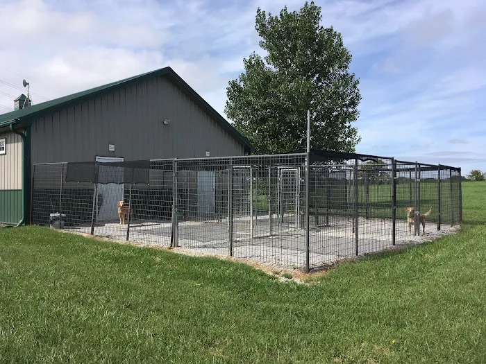 Drivethru Vet at DRIFTWOOD Picture 10