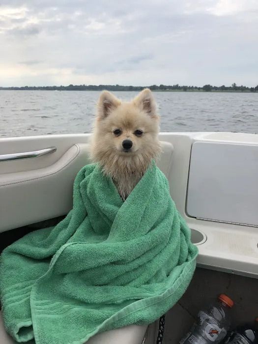 Drivethru Vet at DRIFTWOOD Picture 7