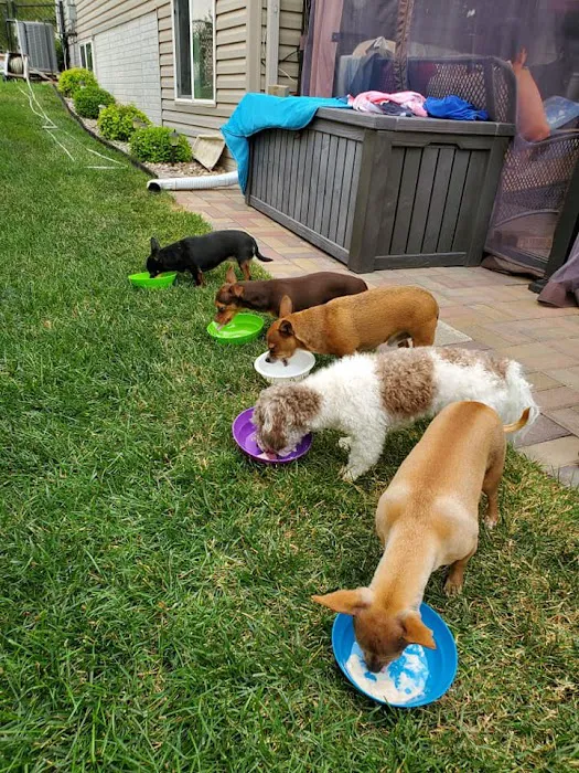 Superior Veterinary Care Picture 8