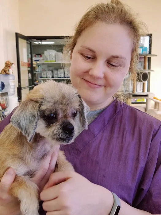 Superior Veterinary Care Picture 6