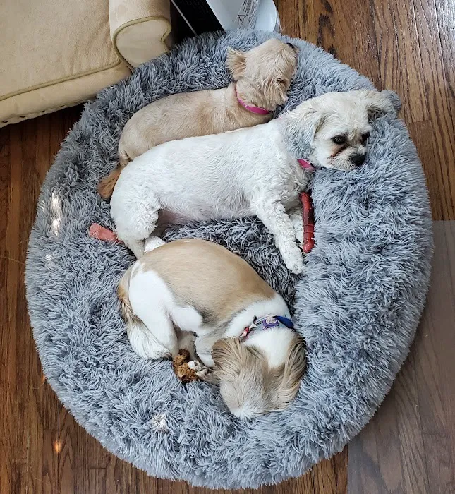 Polaris Veterinary Center Picture 5