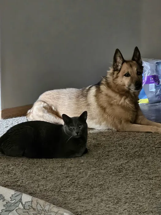 Polaris Veterinary Center Picture 1