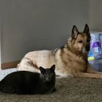 Polaris Veterinary Center