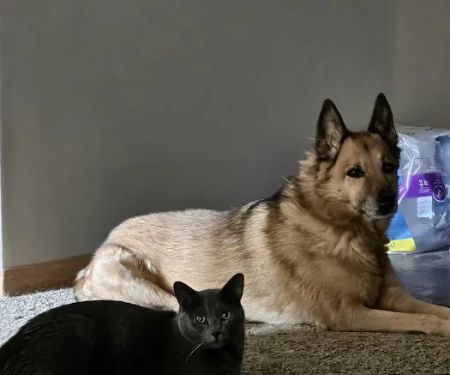 Polaris Veterinary Center