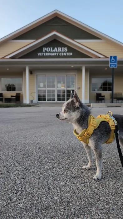 Polaris Veterinary Center Picture 4
