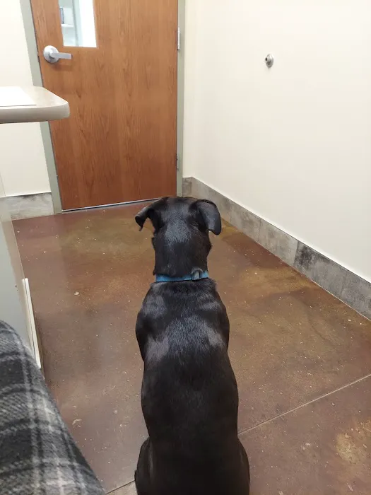 Polaris Veterinary Center Picture 7