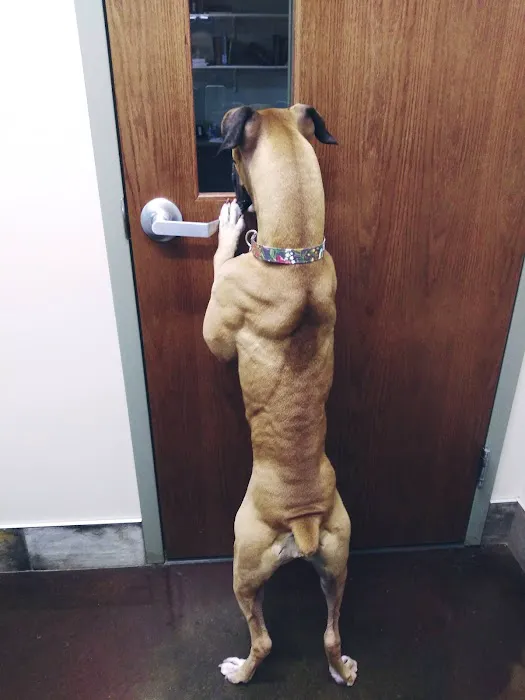 Polaris Veterinary Center Picture 10