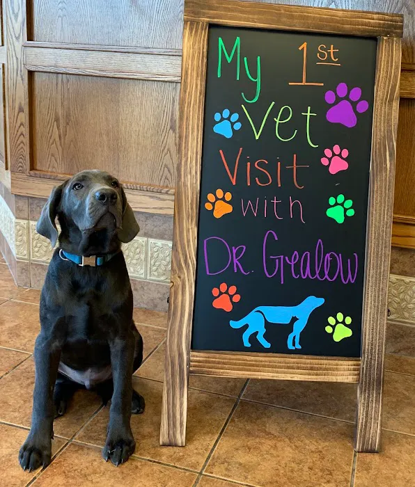 Optimum Veterinary Medical Group Picture 2