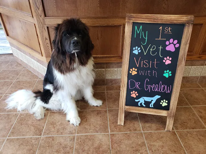 Optimum Veterinary Medical Group Picture 4