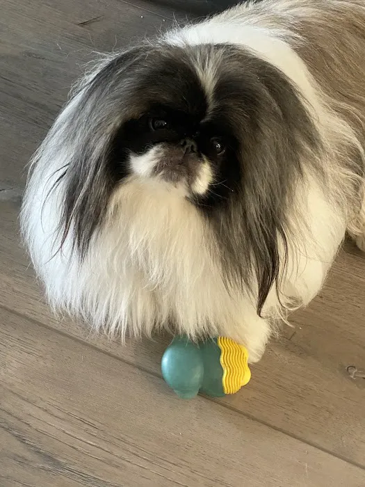 Optimum Veterinary Medical Group Picture 5