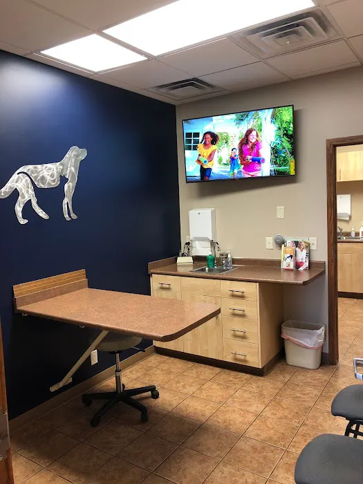 Optimum Veterinary Medical Group Picture 10