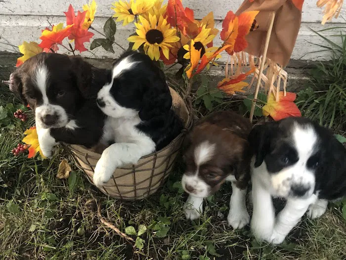 Highlands Animal Health Picture 6