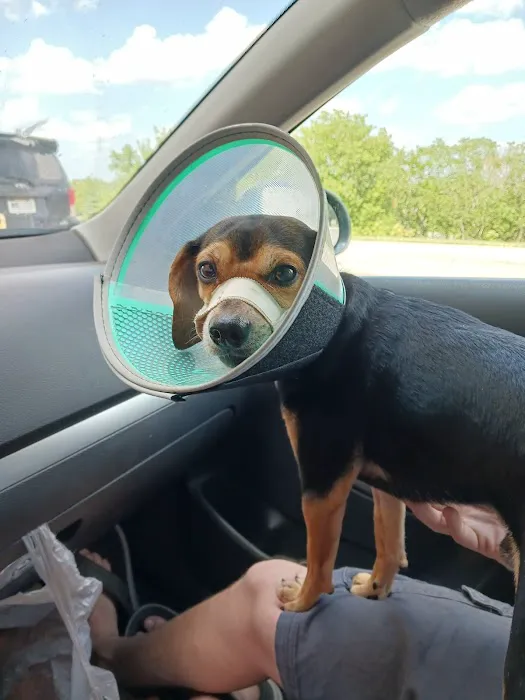 Highlands Animal Health Picture 5