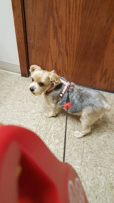 Highlands Animal Health Picture 3