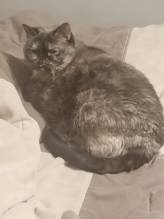 Highlands Animal Health Picture 9