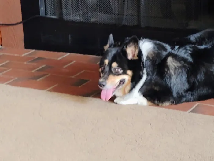 Highlands Animal Health Picture 7