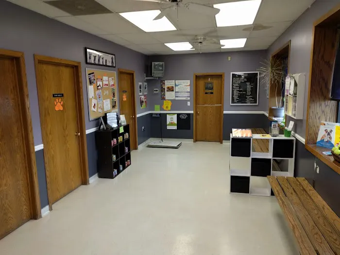 Belmont Veterinary Center Picture 1