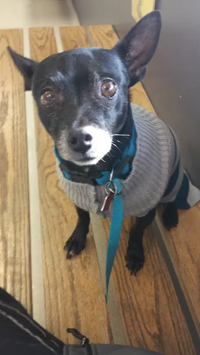 Belmont Veterinary Center Picture 7