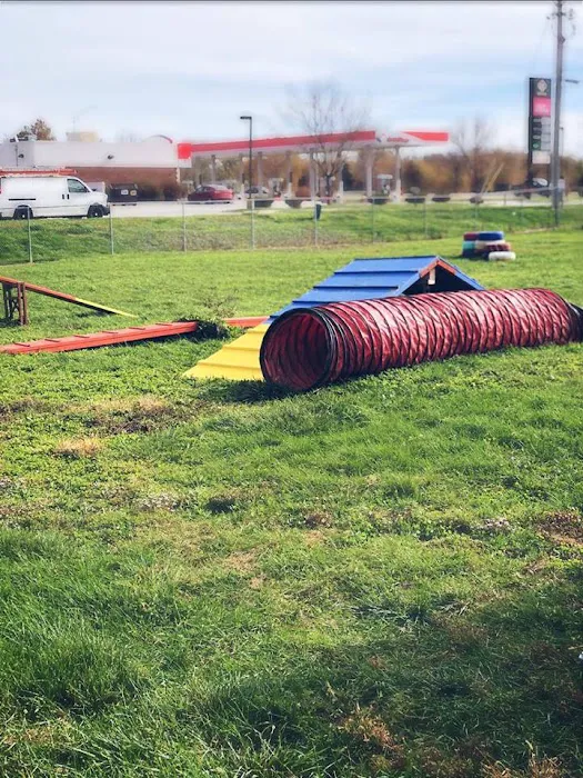 Belmont Veterinary Center Picture 4