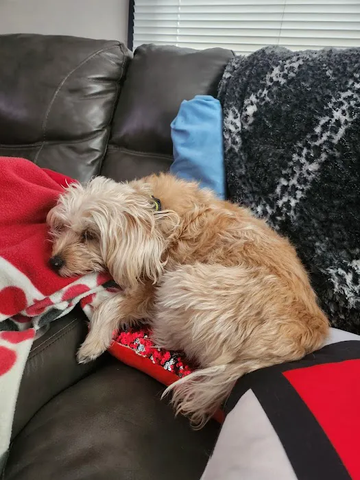 Belmont Veterinary Center Picture 5