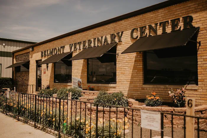 Belmont Veterinary Center Picture 10