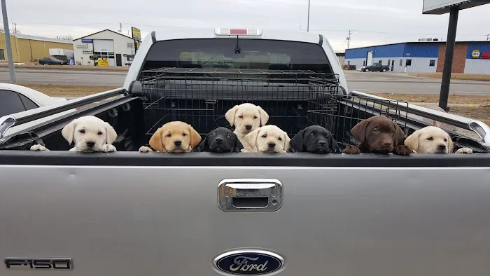 Belmont Veterinary Center Picture 9