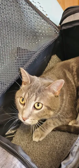 Animal Care Clinic Picture 1