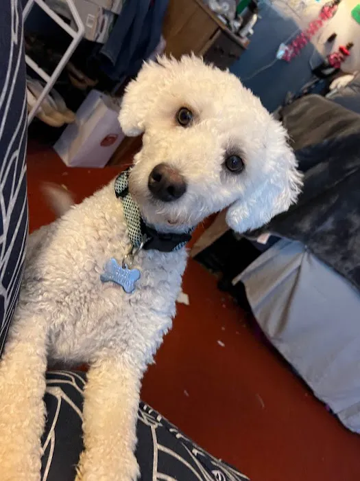 Animal Care Clinic Picture 2