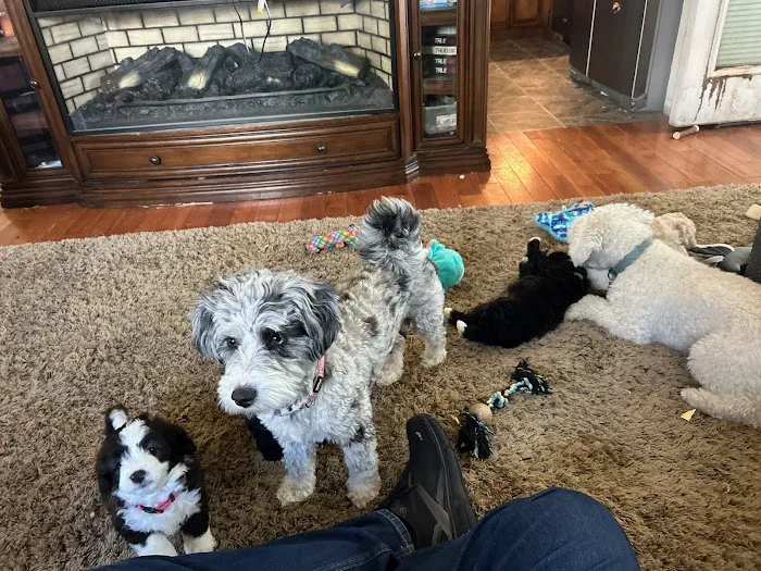 Animal Care Clinic Picture 3